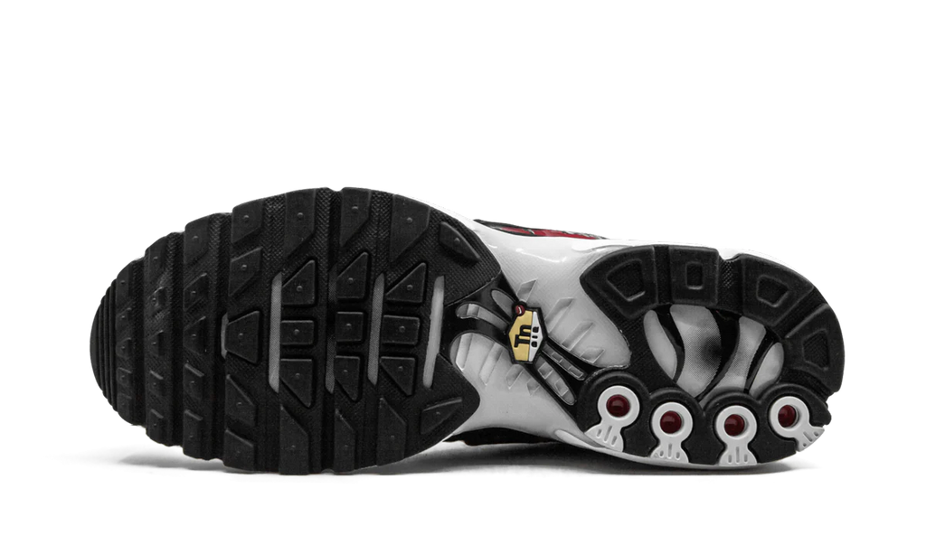 Air Max Plus TN SE "Striped" AT0040 001