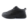 AIR MONARCH IV