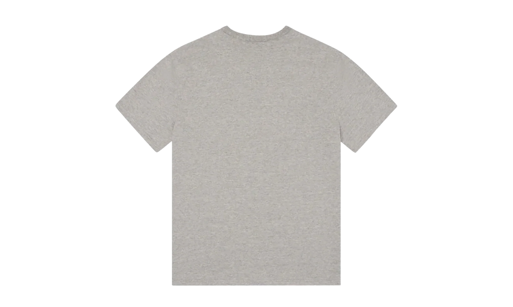 Mission Statement Tee "Grey" DT322