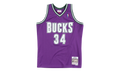 NBA Ray Allen Swingman Road Jersey "2000 Milwaukee Bucks - Purple" SMJYAC18014 MBUPURP00RAL
