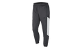 Sportswear Woven Pants "Anthracite / Sail / Black" AR1873 060