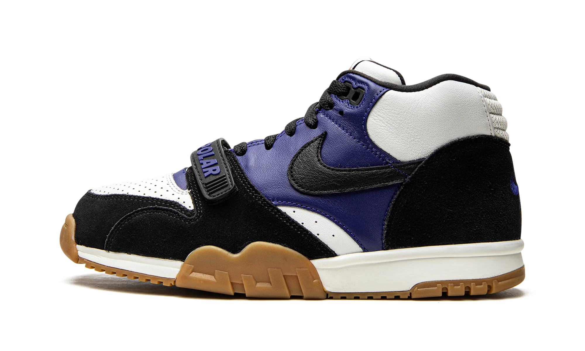 SB Air Trainer 1 "Polar Skate Company" CI6892 001