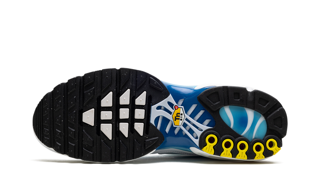 Air Max Plus "Blue Gaze" 852630 411