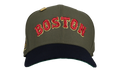 59FIFTY Boston Red Sox 1999 ASG Fitted Hat "Brown / Black" 123451297640
