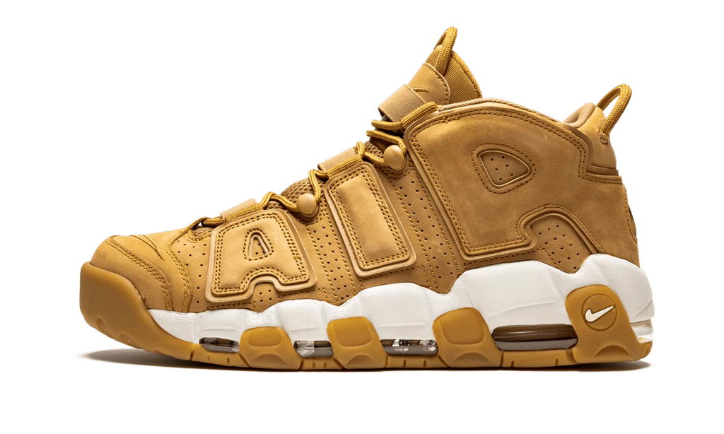 Air More Uptempo '96 PRM AA4060 200