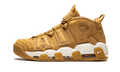 Air More Uptempo '96 PRM AA4060 200