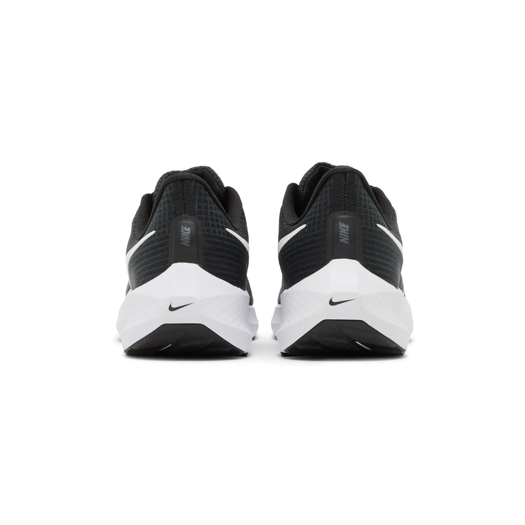 Air Zoom Pegasus 39 'Black Dark Smoke Grey' (2022)