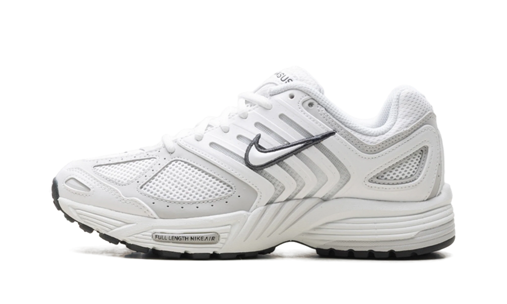 Air Pegasus 2005 WMNS "Summit White Photon Dust" HQ5718 103
