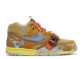 Air Trainer 1 SP Coriander