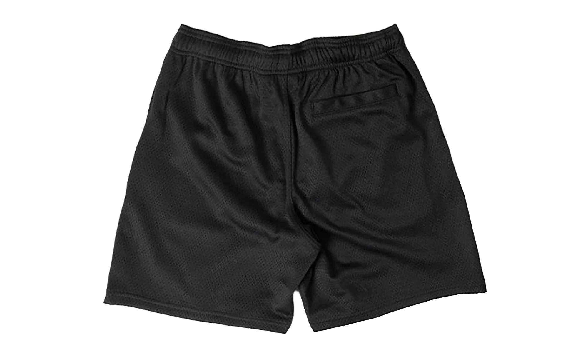 Big Logo Mesh Short "Black" STUS434