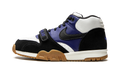 SB Air Trainer 1 "Polar Skate Company" CI6892 001