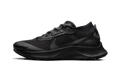 Pegasus Trail 3 Gore-Tex Wmns "Black" DC8794 001