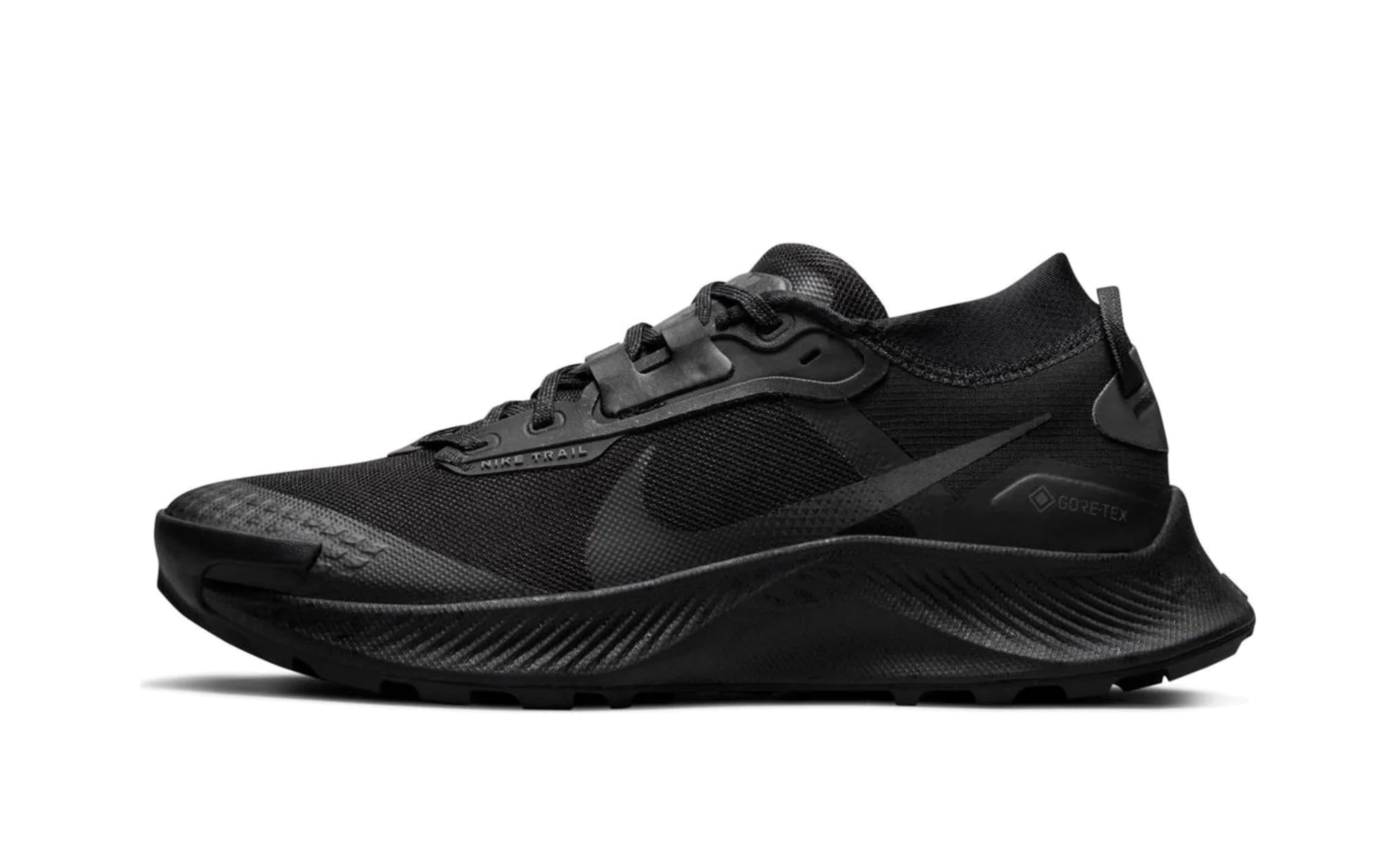 Pegasus Trail 3 Gore-Tex Wmns "Black" DC8794 001