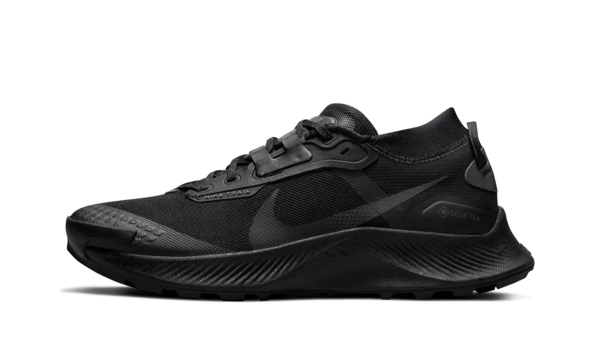 Pegasus Trail 3 Gore-Tex Wmns"Black" DC8794 001