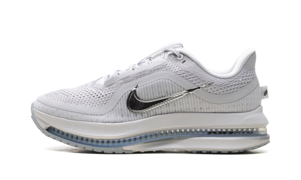 Pegasus Premium WMNS"Metallic Silver" HQ2593 005