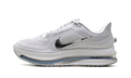 Pegasus Premium WMNS"Metallic Silver" HQ2593 005