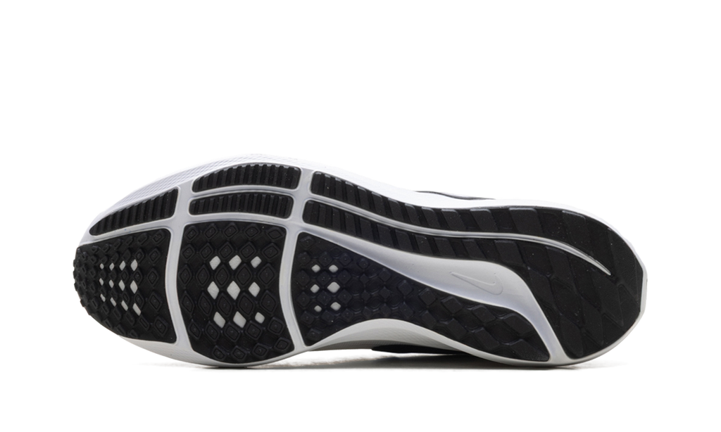 Air Zoom Pegasus 39 TB WMNS"WHITE BLACK" DM0165 100