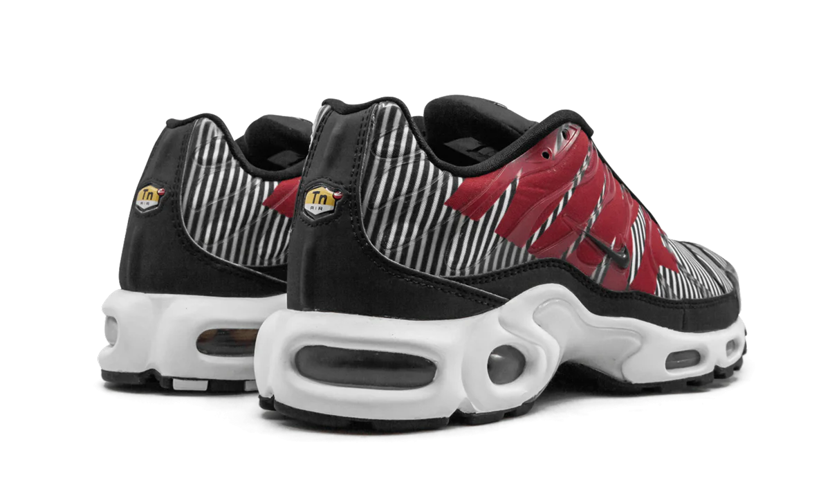 Air Max Plus TN SE "Striped" AT0040 001