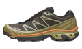 XT-6 Gore-Tex "Delicioso Tea" L49202100