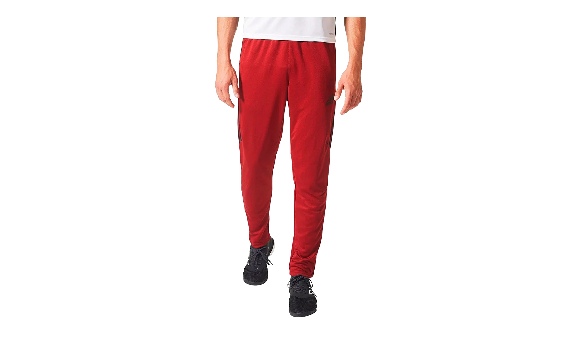 Tiro17 Training Pant "Team Maroon / Black" D94749