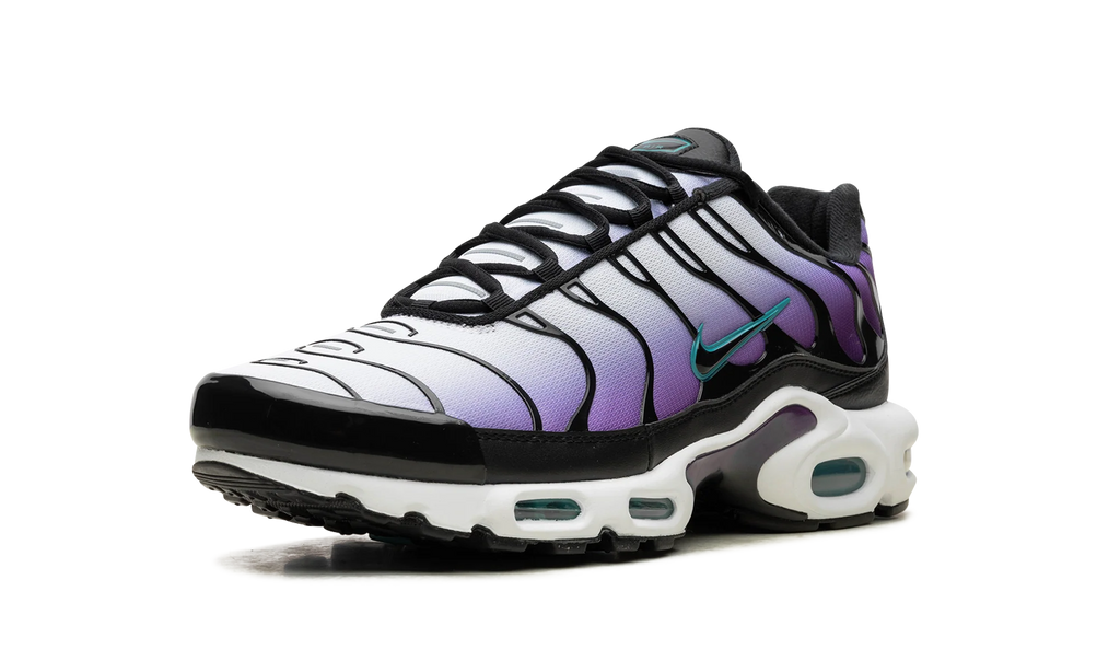 Air Max Plus "Reverse Grape" FQ2415 500