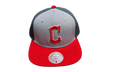 MLB Triple Play Cooperstown "Guardians" HY11518-CGUGREY_OS