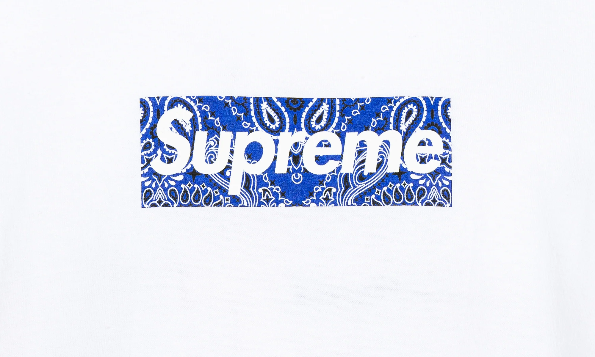 Bandana Box Logo Tee "FW19" SU8604