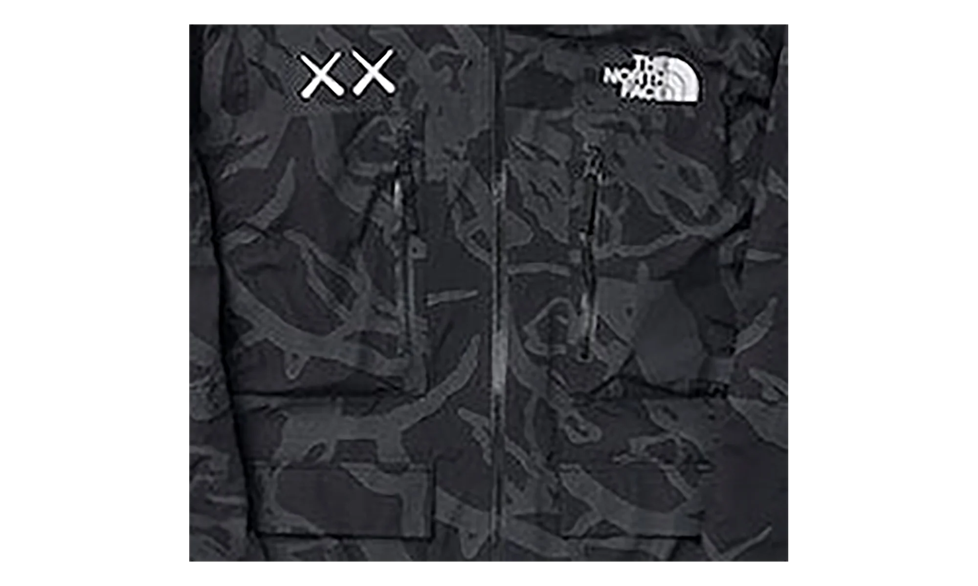 The North Face Freeride Jacket "TNF Black Dragline Print" KAWS202463
