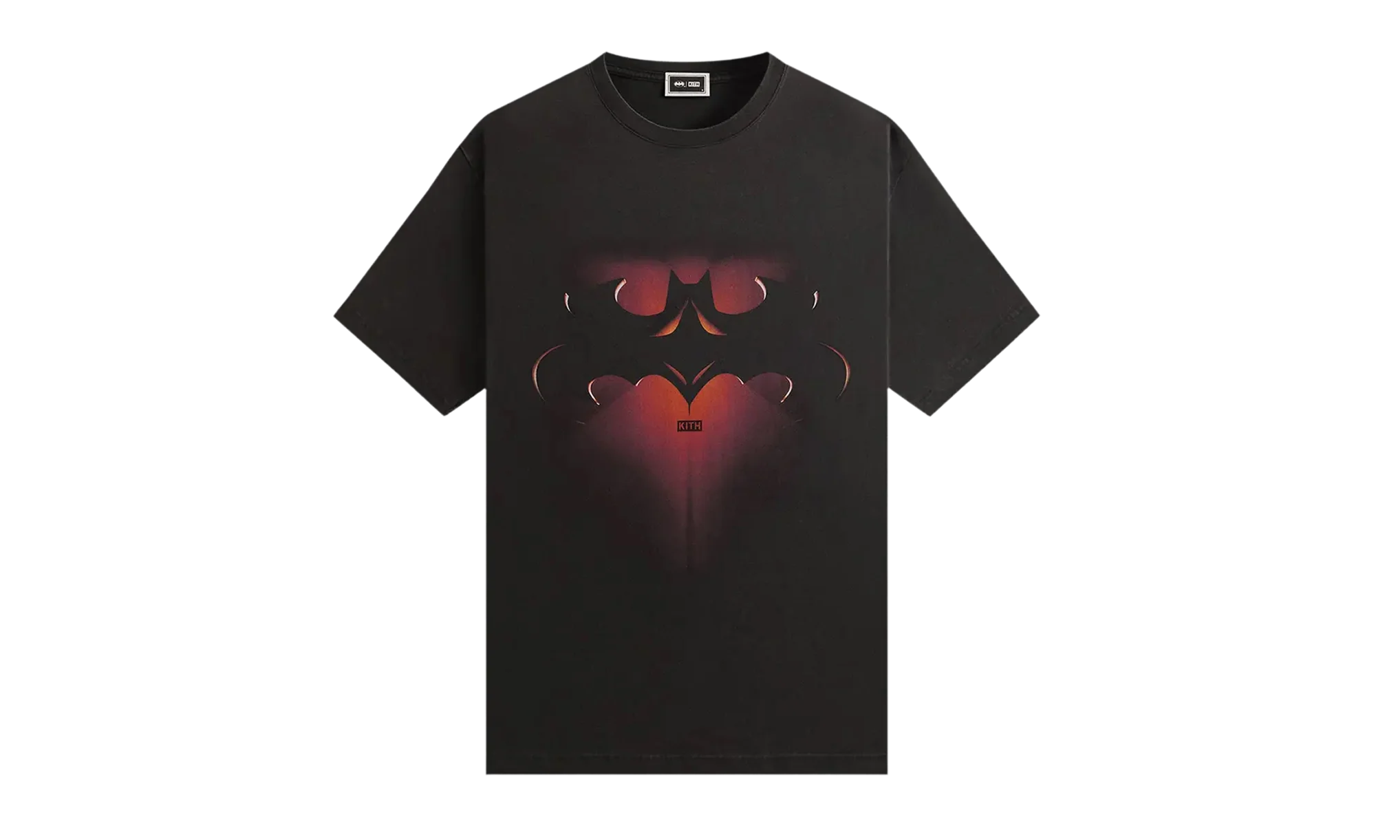 Batman and Robin Logo Vintage Tee "Black" KHM032760 001