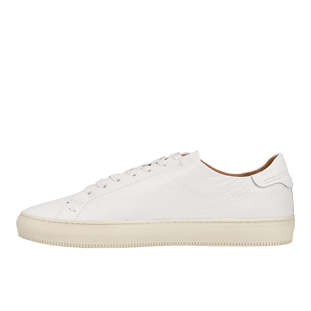 Astor Low Lace Up Sneakers