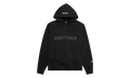Pullover Hooded Sweatshirt Applique Logo "Black" 192HO202000F