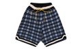 Plaid Basketball Knit Shorts "Blue" RHFW23JA23151864