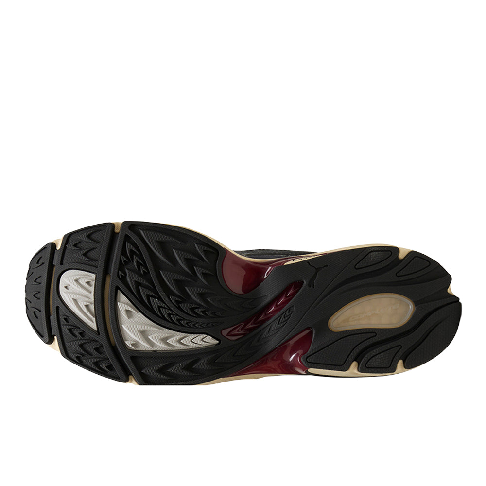 Extos Collector Lace Up Sneakers