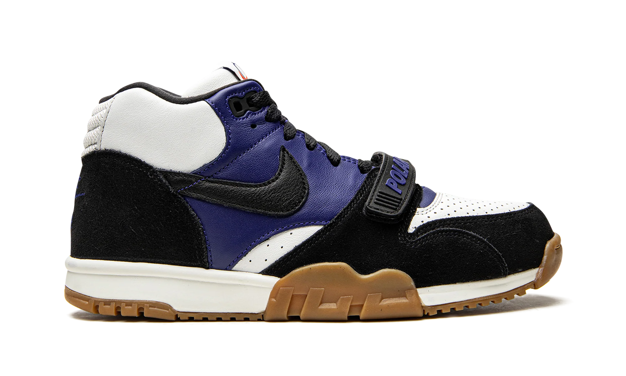 SB Air Trainer 1 "Polar Skate Company" CI6892 001