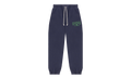 ADG Sweatpants "Purple" DT280