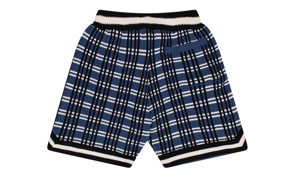 Plaid Basketball Knit Shorts "Blue" RHFW23JA23151864
