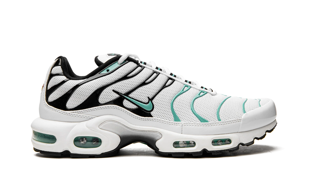 Air Max Plus "Atmos" 604133 148