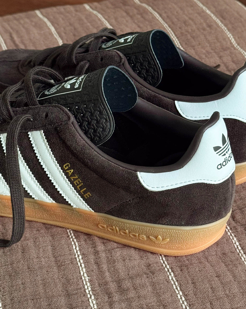 Gazelle Indoor