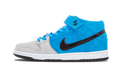Dunk Mid Pro SB "Beavis" 314383 400