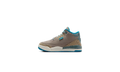 Air Jordan 3 TD "We Outside" IB7065 001