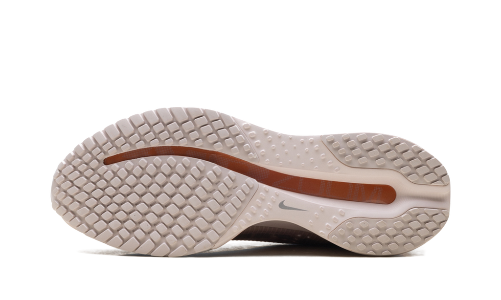 Pegasus Premium WMNS"Metallic Rose Gold" HQ2593 603