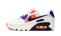 AIR MAX 90 MNS WMNS"Brushstroke" CZ7937 100