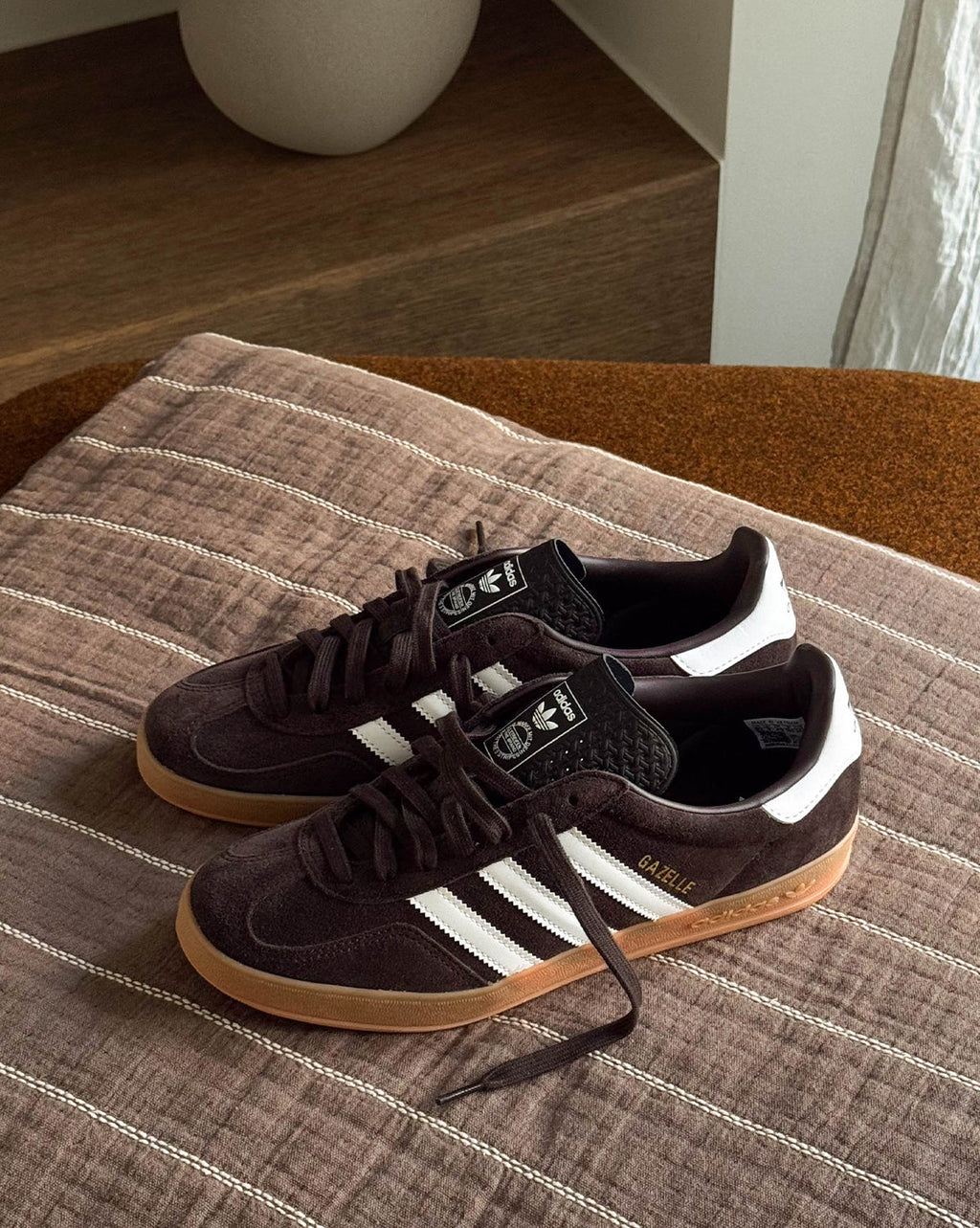 Gazelle Indoor