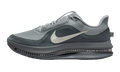 Air Zoom Pegasus Premium "Wolf Grey" HQ2592 013