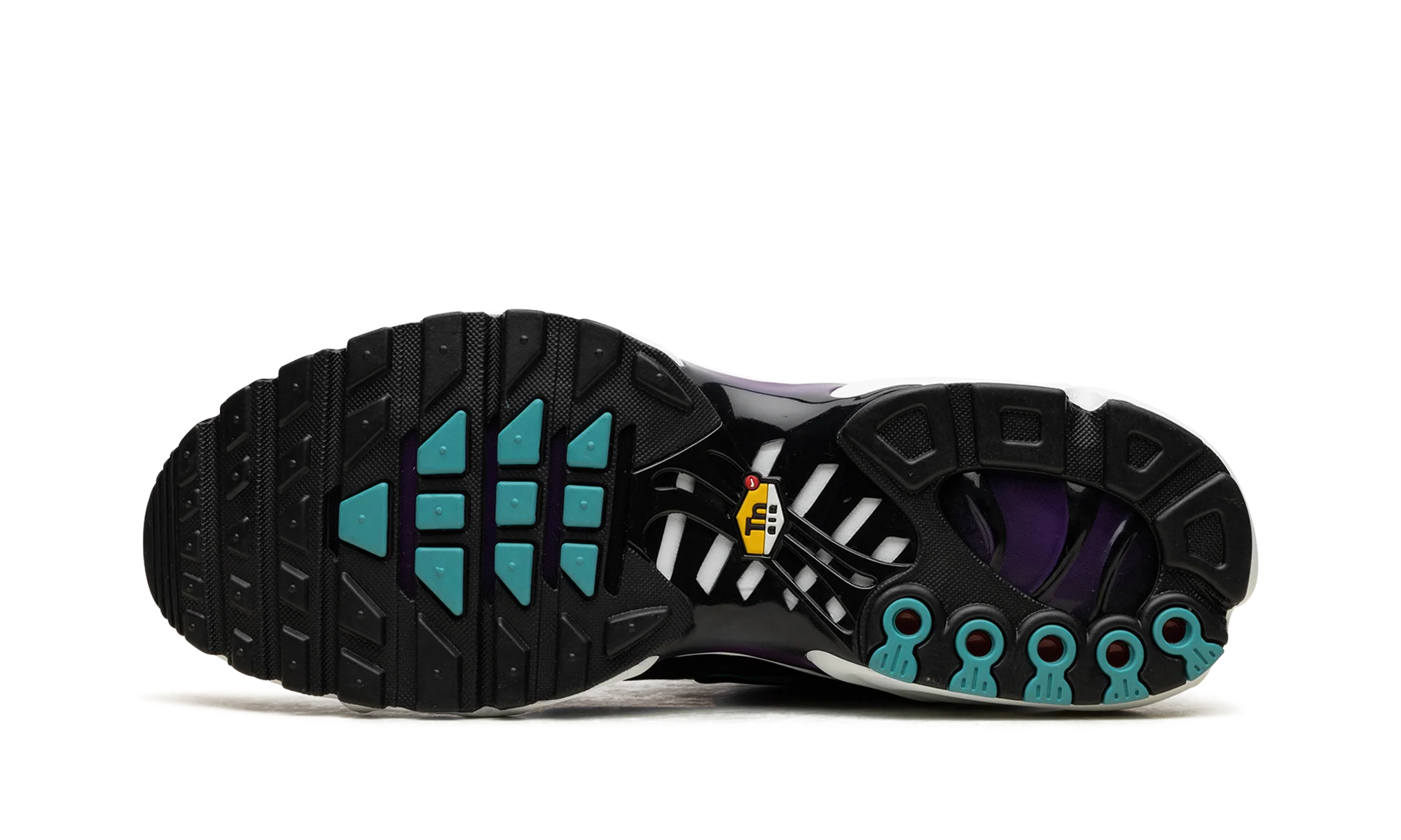 Air Max Plus "Reverse Grape" FQ2415 500