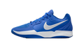 Ja 2 TB "Royal" HQ8513-400