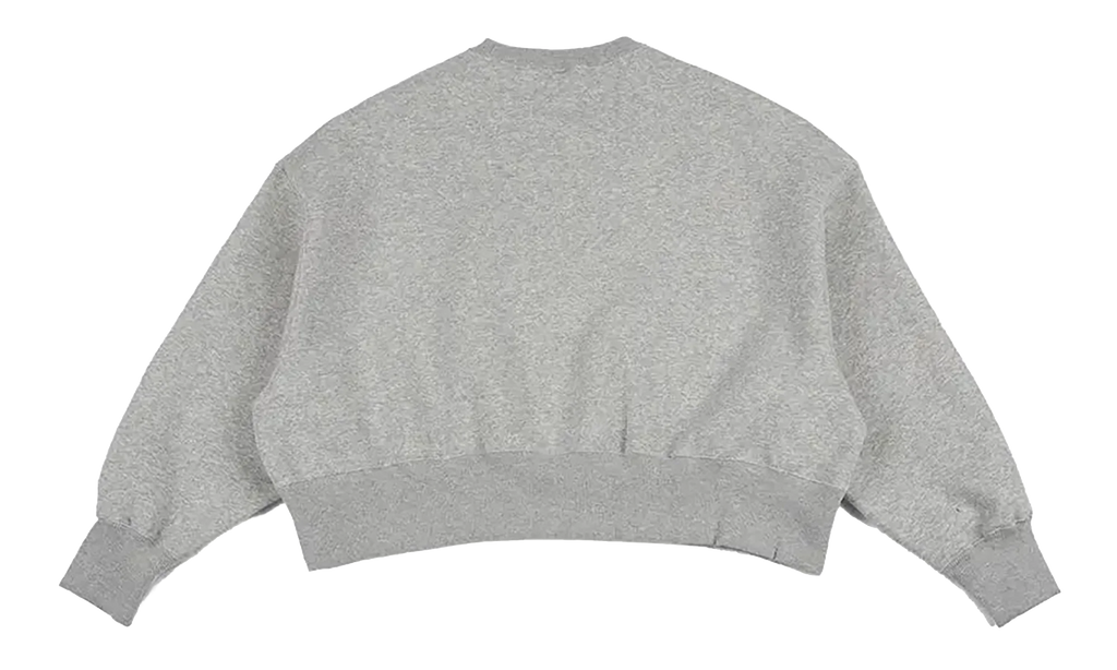 NSW Pheoneix Fleece Oversized Crew WMNS "Pure Platinum" DQ5761 043