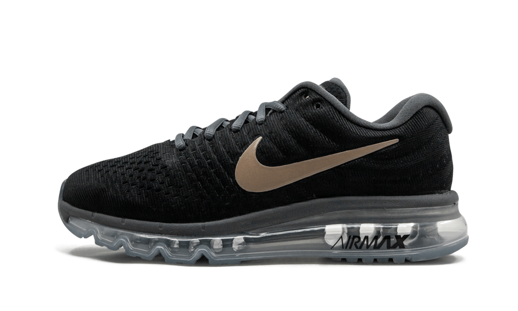 AIR MAX 2017 MNS WMNS "Bronze" 849560 008