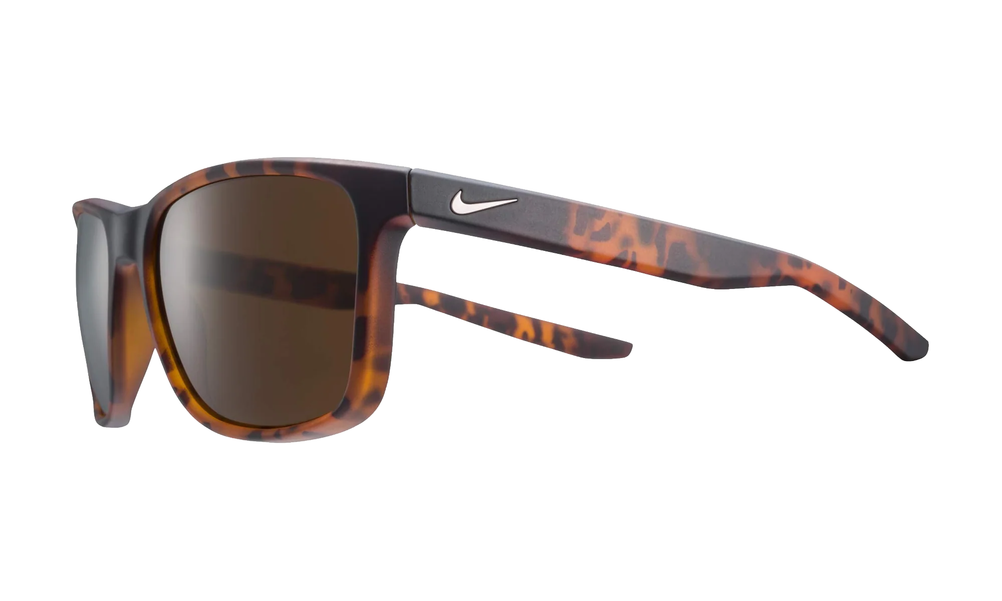 Essential Endeavor Sunglasses "Matte Tortoise / Brown" EV1122 202