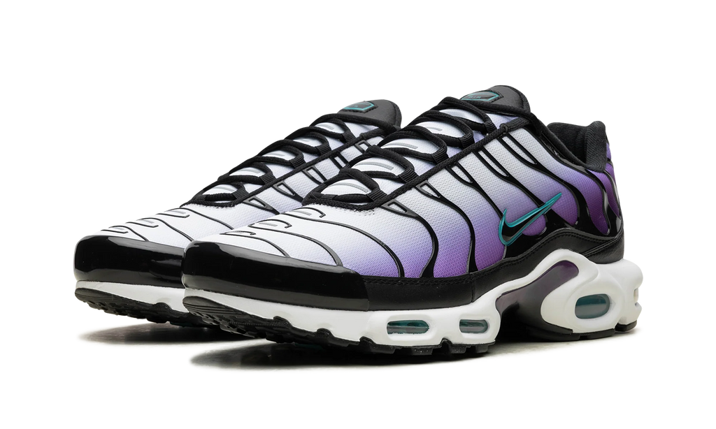 Air Max Plus "Reverse Grape" FQ2415 500